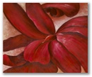 red cannas 36x48