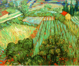 Van Gogh - Field of Poppies